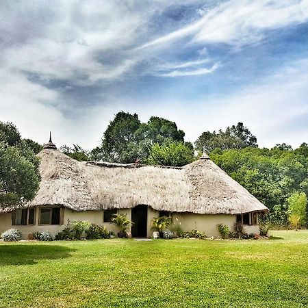 House In The Wild Guest House Maasai Mara Exterior photo