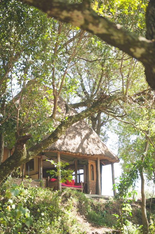 House In The Wild Guest House Maasai Mara Room photo